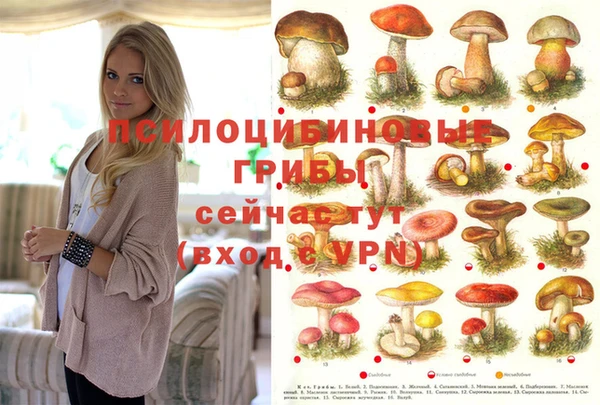 молекула духа Балахна